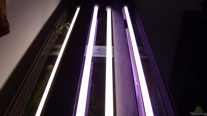 Beleuchtung von Casual (3)