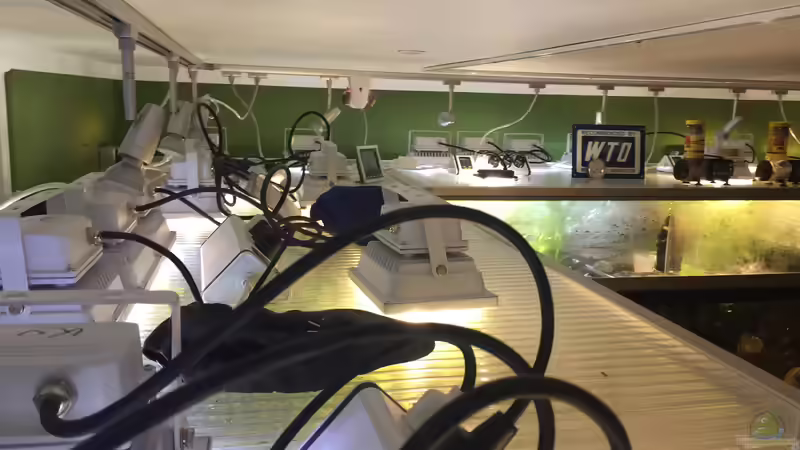 Beleuchtung von Christian Schulz (6)