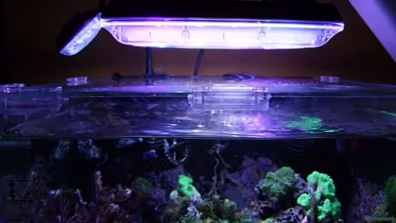 Beleuchtung von Denise83 (8)