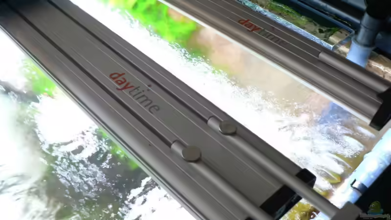 Beleuchtung von Der Nicky (74)