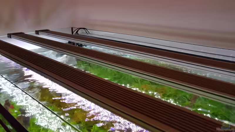 Beleuchtung von Glidezilla (13)