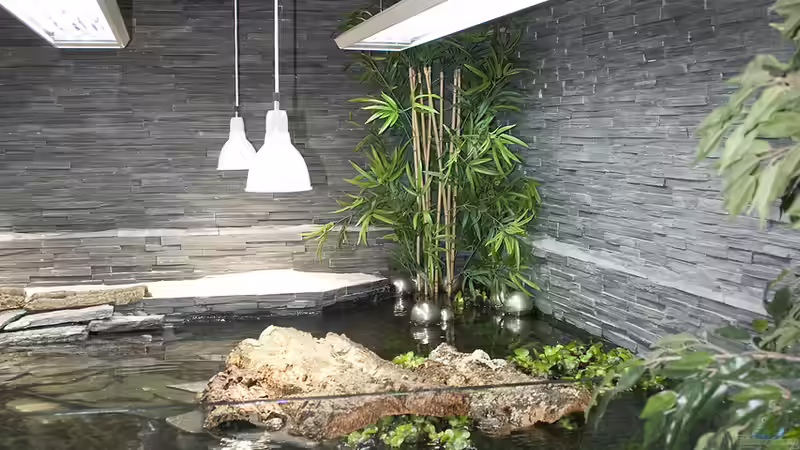 Beleuchtung von Hoppe-Terrarienbau (11)