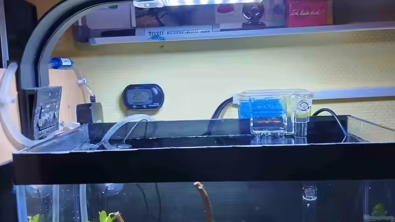 Beleuchtung von HOTU (16)