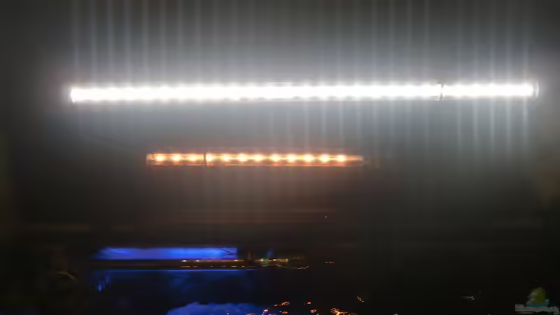 Beleuchtung von HOTU (35)