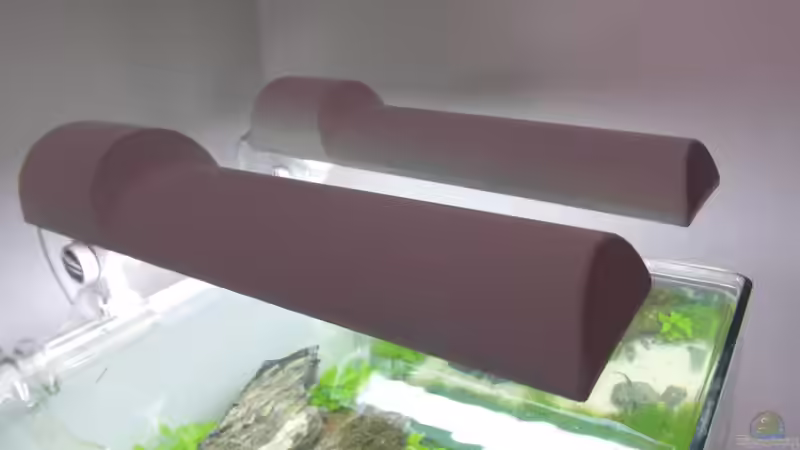 Beleuchtung von Intershrimpview (29)