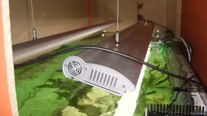 Beleuchtung von Jens Schneider (15)