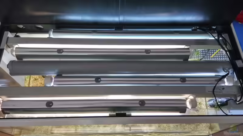 Beleuchtung von Jonas (Trancemania) (11)