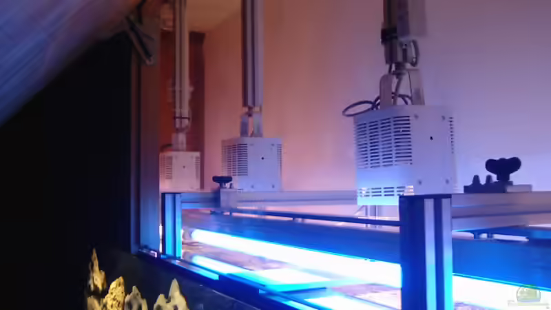 beleuchtung von Kai Wichert (7)