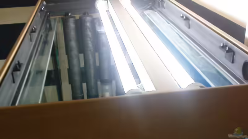 Beleuchtung von marco_0 (14)