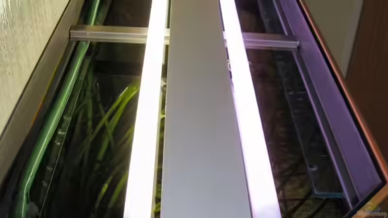 Beleuchtung von Marko Straßburger (7)