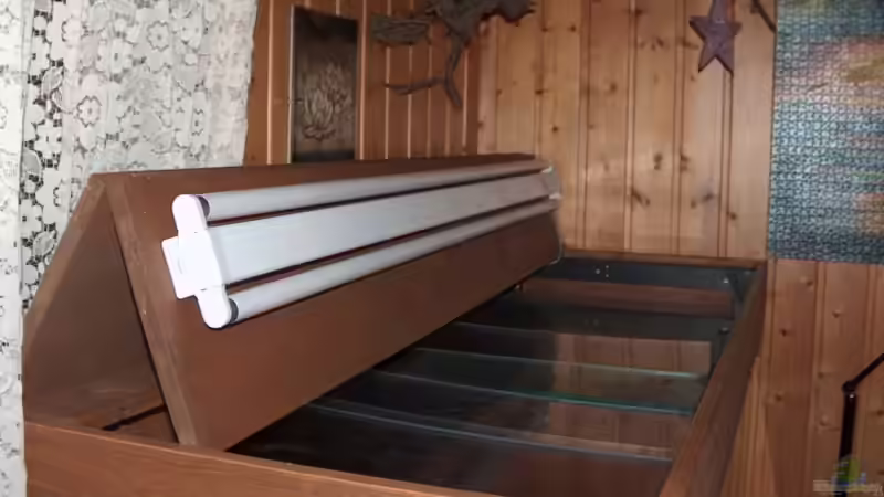 Beleuchtung von Monika Thiele (5)