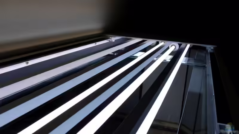 beleuchtung von oben von Marmax (28)