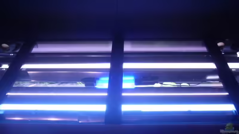 Beleuchtung von Onkel (11)