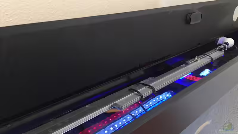 Beleuchtung von Philipp Böhme (36)