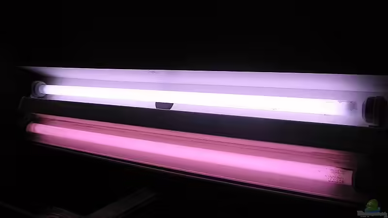 Beleuchtung von Ricardo Kisker (10)