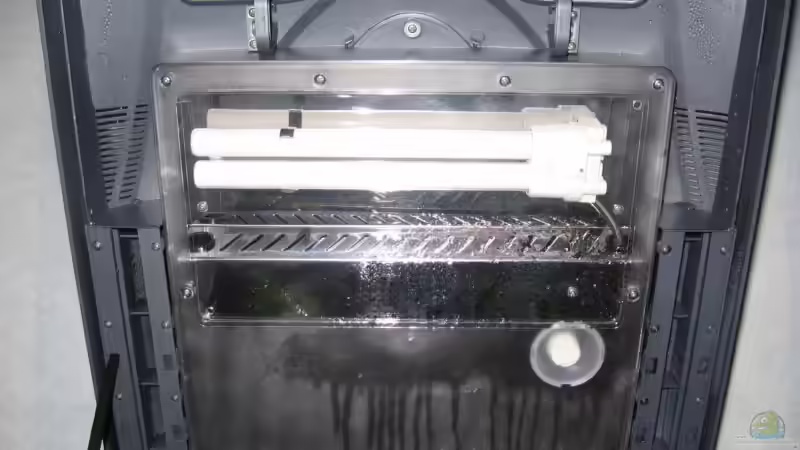 Beleuchtung von Sascha Gerber (8)