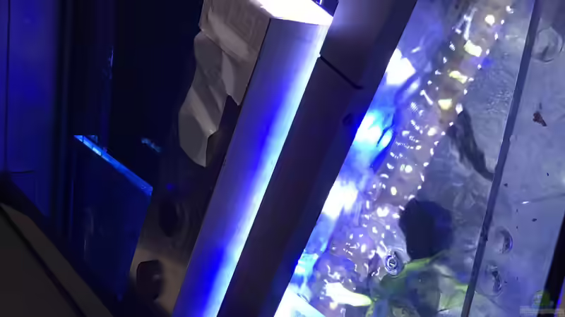 Beleuchtung von skipper1202 (23)