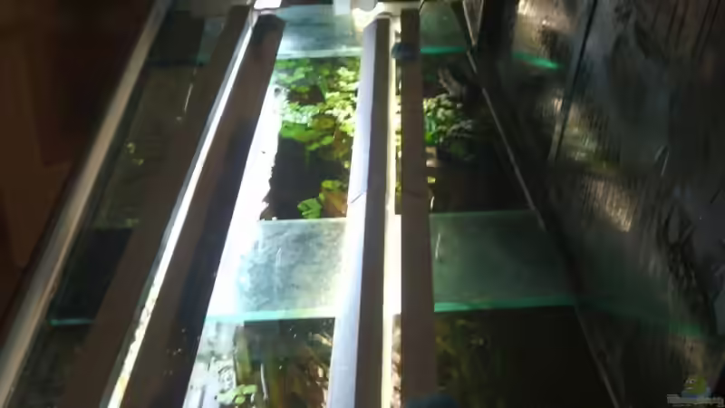 Beleuchtung von Stefan-HL (7)