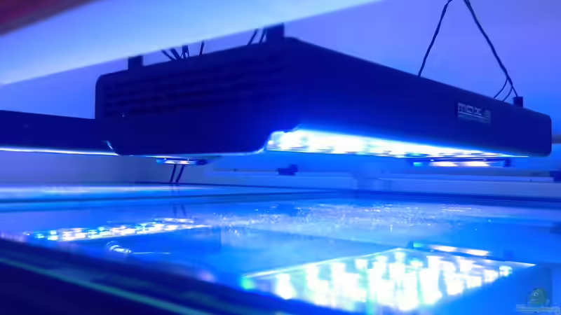 Beleuchtung von Stephan Grün (14)