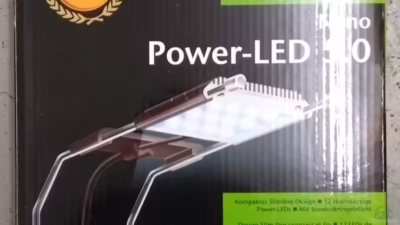 Beleuchtung von Stephy (12)