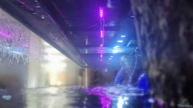 Beleuchtung von Sven Meyer (18)