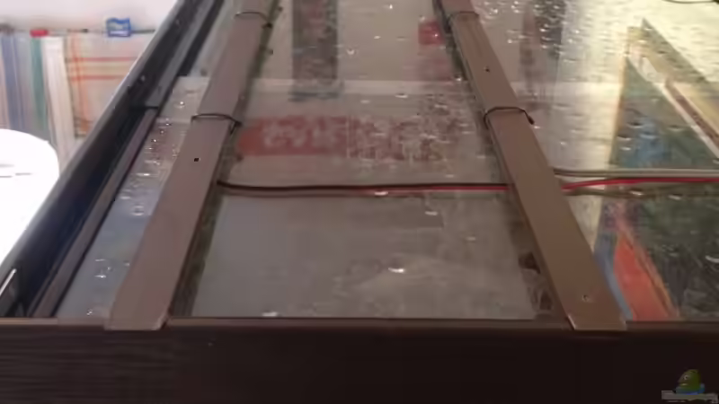 Beleuchtung von Thomas S-H (7)