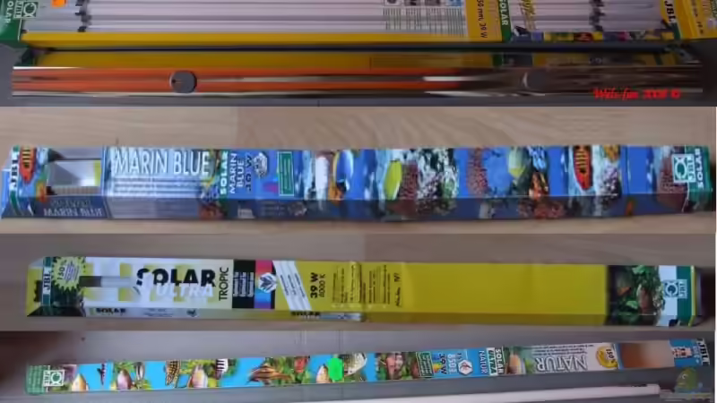 Beleuchtung von Wels-fan (41)