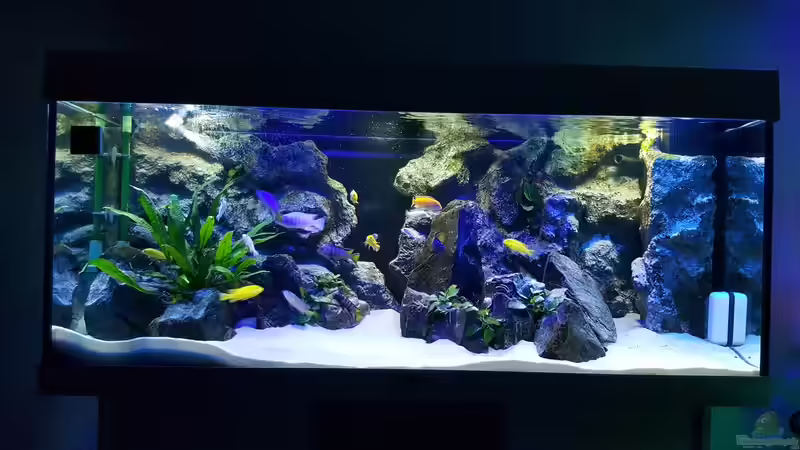 Beleuchtung vor Umbau (2x T5 a´58Watt) von Chrille1904 (7)