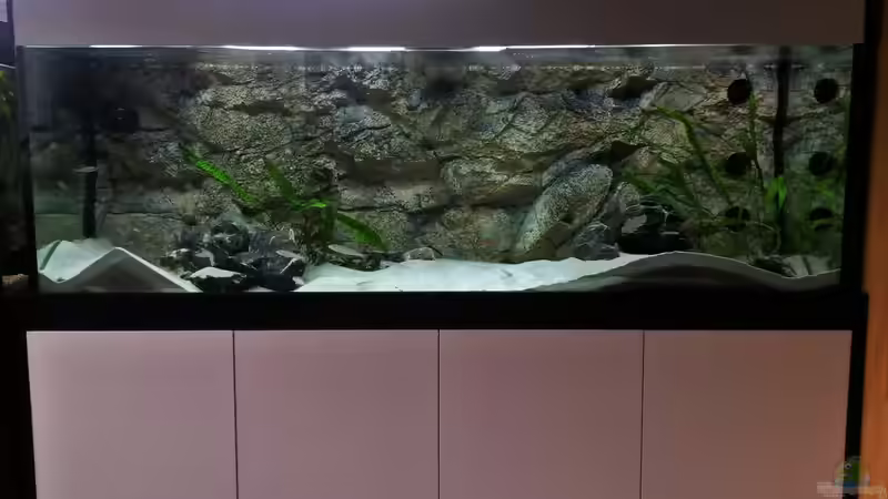 Beleuchtung wurde gedämmt von spriggina (12)