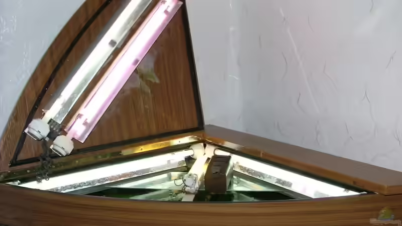 Beleuchtungsanlage von aquamauy (9)