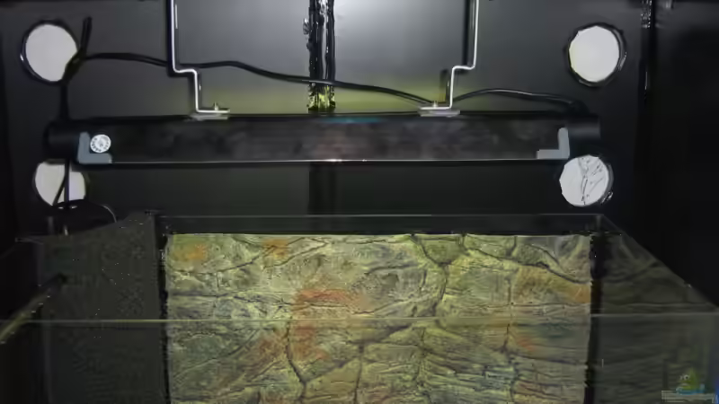 Beleuchtungsbau von Aquarium-Bochum (8)