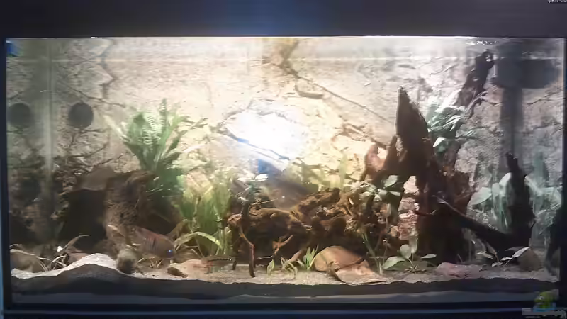 Beleuchtungsbeispiel: ocs.tec AB5WW(3000K) von Oistel (13)