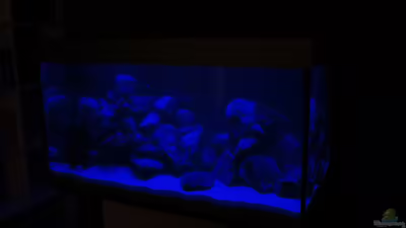 Beleuchtungsphase: Mondlicht von BastiB (22)