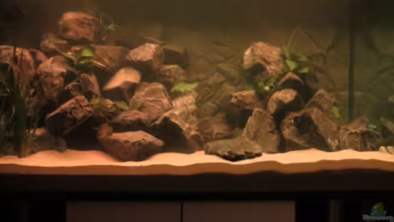 Beleuchtungsphase: Sonnenuntergang von BastiB (19)