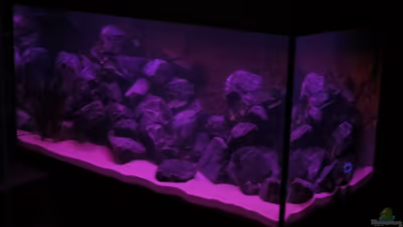 Beleuchtungsphase: Sonnenuntergang von BastiB (20)