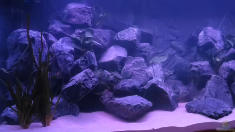 Beleuchtungsphase: Sonnenuntergang von BastiB (21)