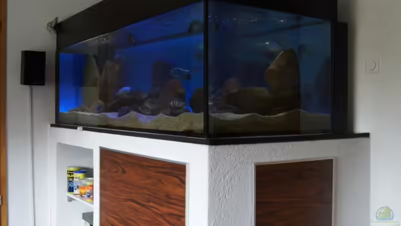 Beleuchtungsphase alle LED-Lampen an von Oeli (38)