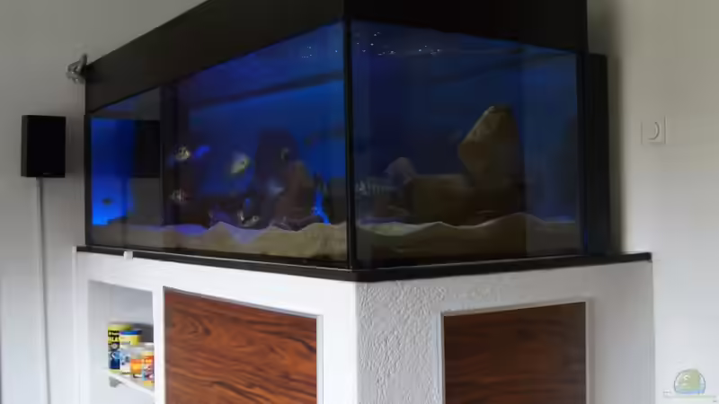 Beleuchtungsphase im hinteren Teil LED weiß aus von Oeli (39)