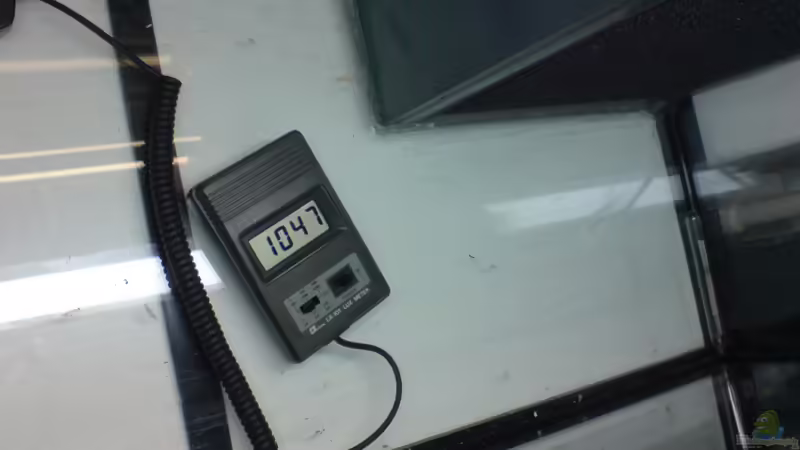 Beleuchtungsstärke am Boden in Lux - hinten - von timme (47)