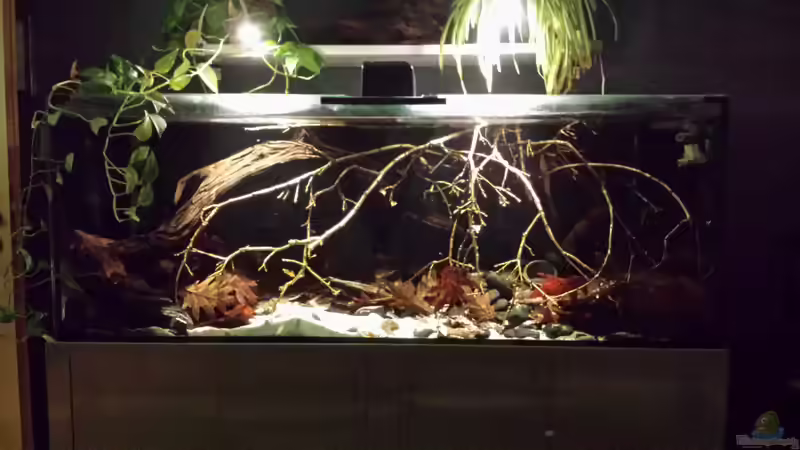 Belichtung verlängert von NRW (8)