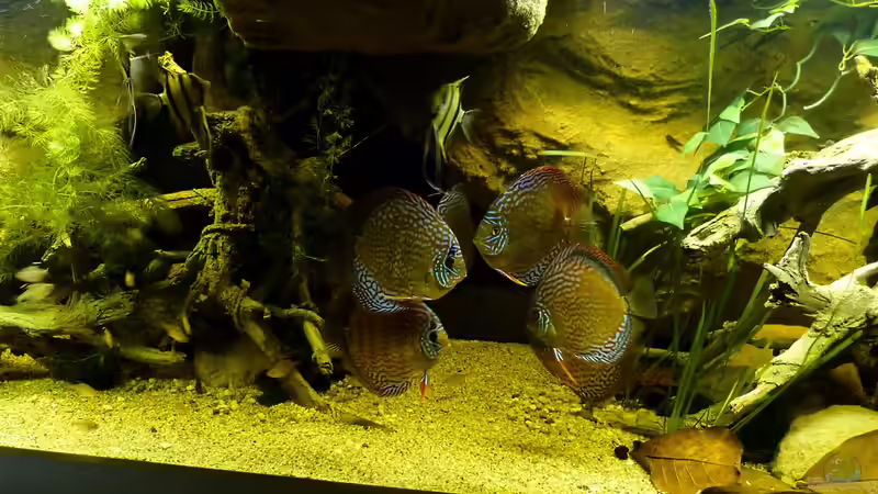 beliebter Rückzugsort unter dem Felsen April/14 von ~Marco~ (47)