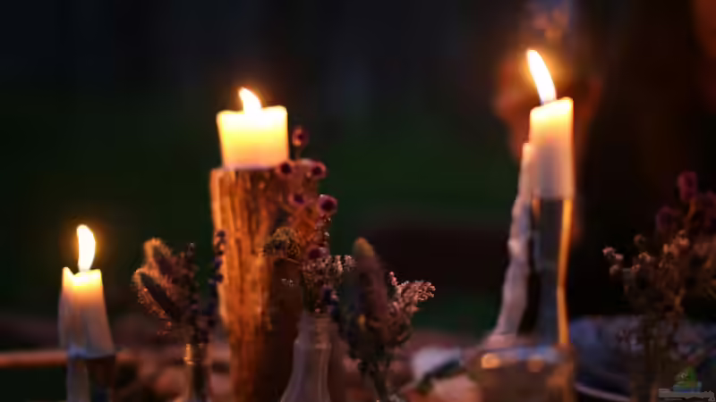 Beltane und der Beginn des Sommers im Garten