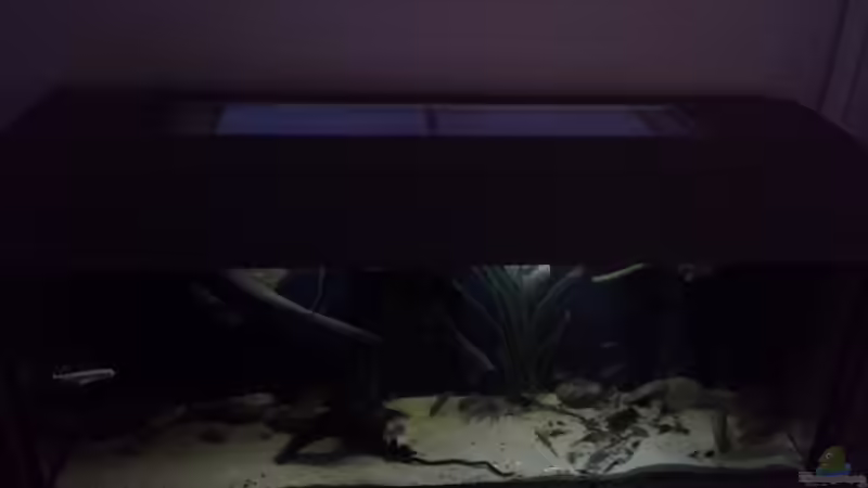 belüftungsgitter im deckel von Dominik Wexenberger (26)