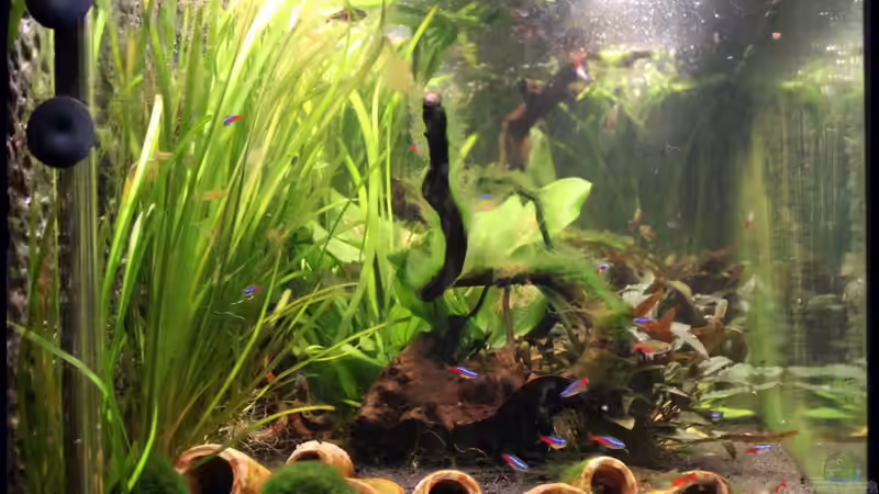 Beobachterseite (nur durch diese kurze Scheibe sieht man ??ffnungen von Röhren), von GothRiderz (10)