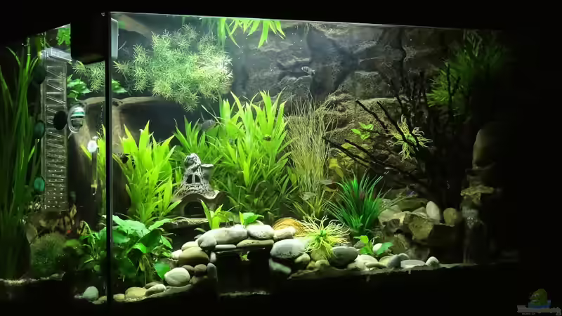 Beobachtungshöhle  von mcfly (41)