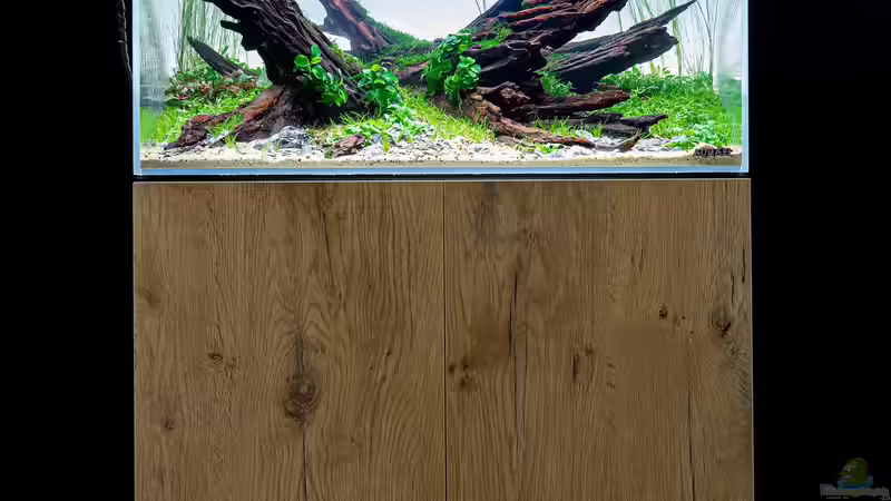 Bepflanzt 26.09.2021 von Fredo Fuss (3)