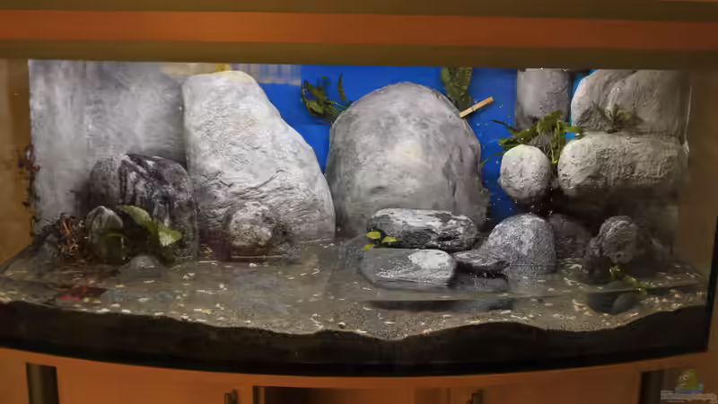 Bepflanzung... von Borg (2)