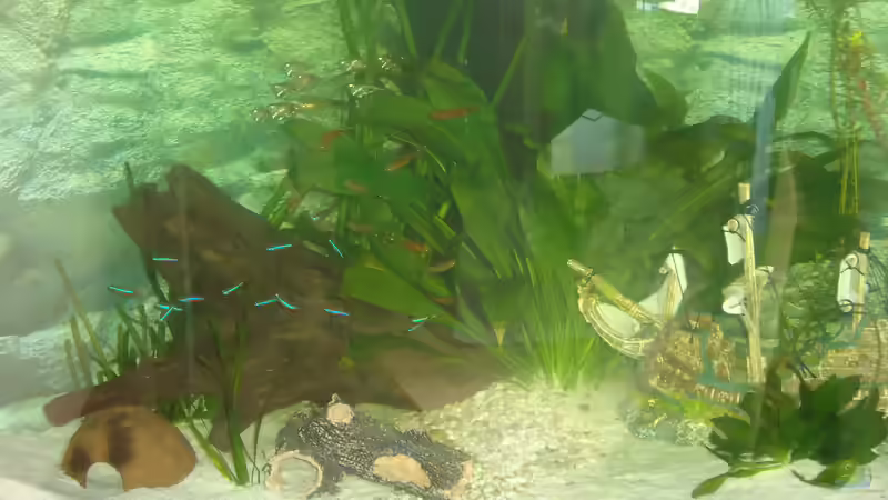 Bepflanzung und Deko steht mit Wasser gefüllt . 24.07.2015 von atom010 (22)