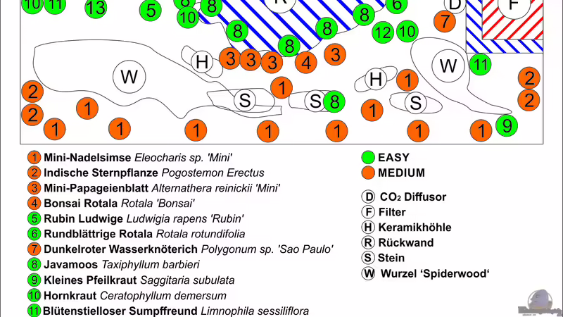 Bepflanzungsplan von Campi (4)