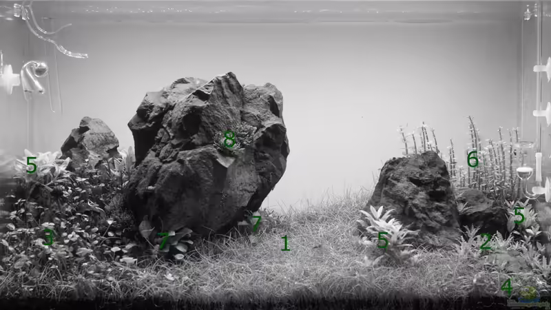 Bepflanzungsplan von Micha... (10)